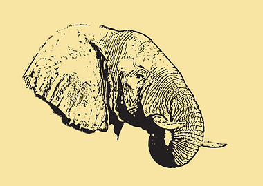 Elephant portrait
