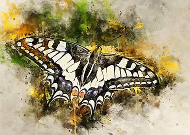 Beautiful butterfly art