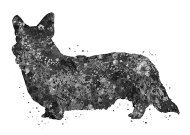 Cardigan Welsh Corgi