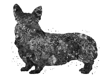 Pembroke Welsh Corgi