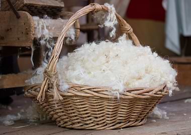 wool in basket