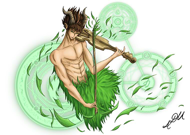 The musician of Tir na Nog