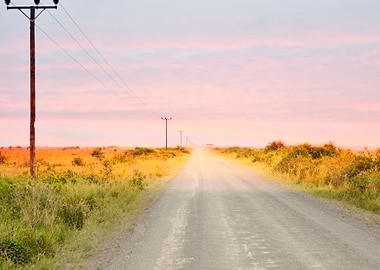 road in the African savann