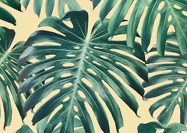 monstera pattern