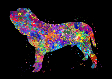 Neapolitan mastiff rainbow