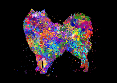 American eskimo watercolor