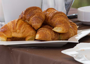 cake on plate for snack