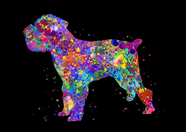 Brussels griffon colorful