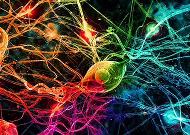 Neural Network Abstract