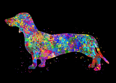 Dachshund watercolor