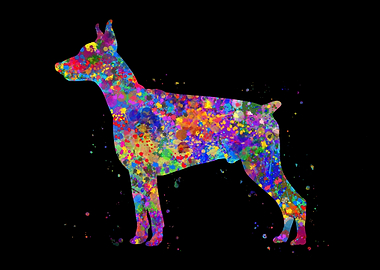 Doberman Pinscher rainbow