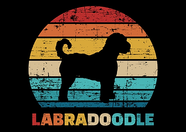 Labradoodle