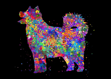 Alaskan Malamute colorful