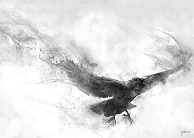 Ravens Flight