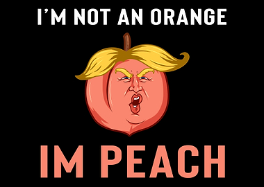 Impeach Trump Democrats