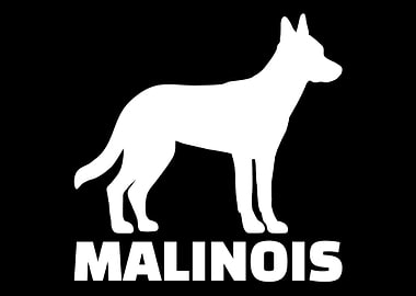 Malinois