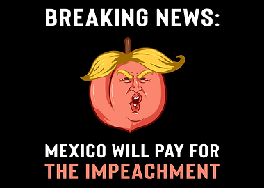 Impeachment AntiTrump