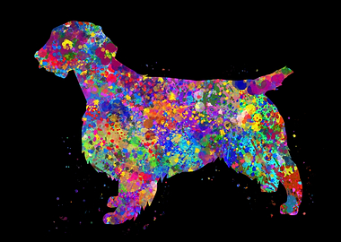 Welsh springer spaniel dog