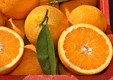 Fresh Oranges