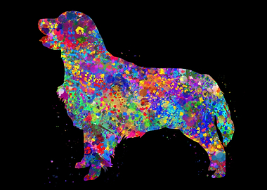 Golden Retriever colorful