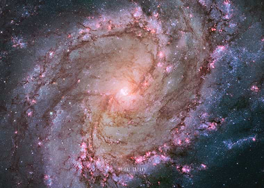 Spiral Galaxy M83