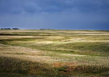 Open Prairie