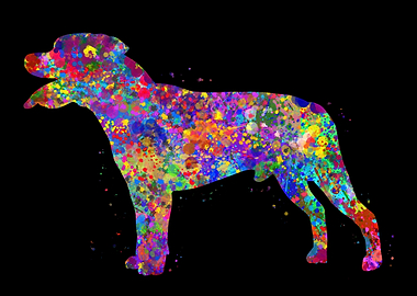 Staffordshire Bull Terrier