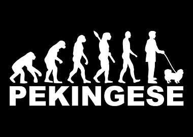 Pekingese