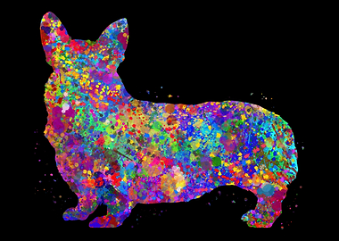 Pembroke Welsh Corgi cute