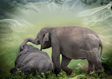 elephant playing on meadow