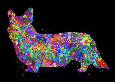 Cardigan Welsh Corgi cute