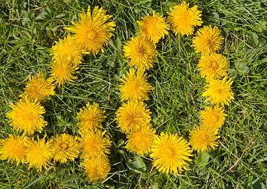 number forty drawn with