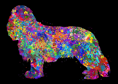 Cavalier king charles cute