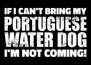 Portuguese Water Dog