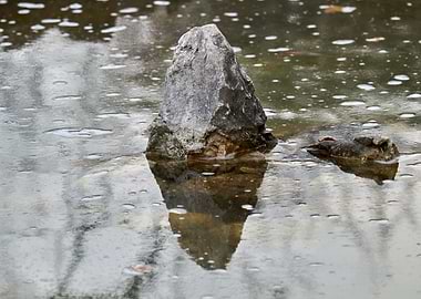 reflection of rock on wate