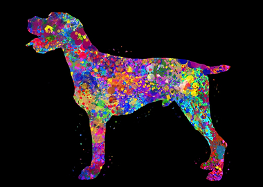 German Wirehaired Pointer