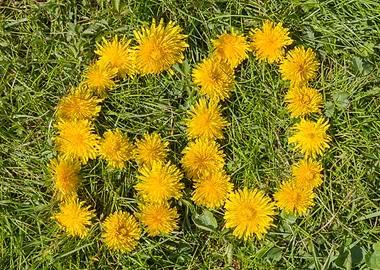 number sixty designed