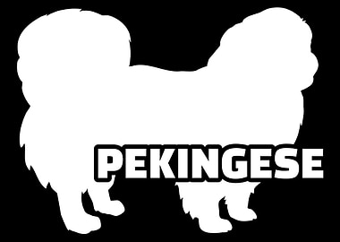 Pekingese