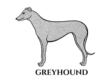 Greyhound Dog with Names