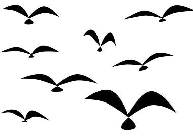 Abstract Bird Flock