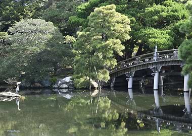 Imperial Palace Garden
