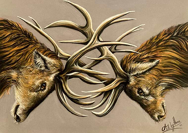 Locking Antlers