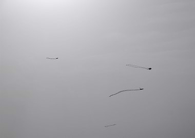 Minimal kites in the sky