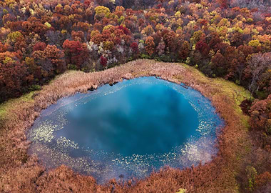 Lake between autumn trees