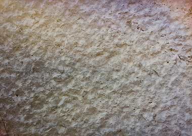 textured wall