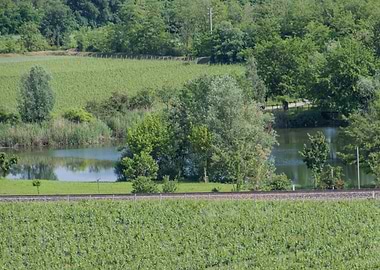plain and pond landscape