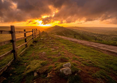sun mountain hill flower