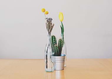 Flowers Vases yellow tulip