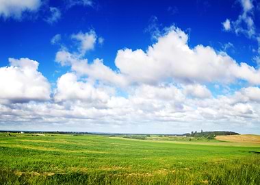 Green field landscape