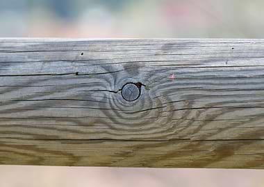 detail of wooden fence